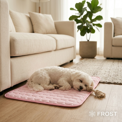 FrostPaws - Tapis Rafraîchissant